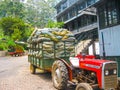 Nuvara Eliya, Sri Lanla - May 03, 2009: The bags with tea leaf crop on Mackwoods Limited PVT factory Royalty Free Stock Photo