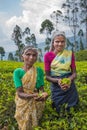 NUWARA ELIYA, SRI LANKA - February, 9, 2016: Tea pickers Royalty Free Stock Photo