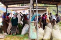 Sinhalese women waiting to get paid for their bags full with picked tea leaves