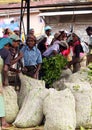 Sinhalese women waiting to get paid for their bags full with picked tea leaves