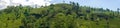 Nuwara Eliya, Sri Lanka - March 10, 2022: Panoramic view of the Damro tea plantations