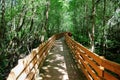 NW.L.Finley National Wetland Reserve Royalty Free Stock Photo