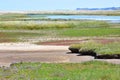 NWT Cley Marshes, Norfolk, England