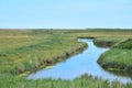 NWT Cley Marshes, Norfolk, England