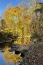 Colorful autumn foliage in Bronx River Parkway Reservation in New York Royalty Free Stock Photo