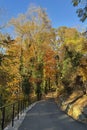 Colorful autumn foliage in Bronx River Parkway Reservation in New York Royalty Free Stock Photo