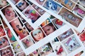 Many catalog pages with printed kids portraits with colorful face painting