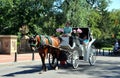 NYC: Central Park Hansom Cab Royalty Free Stock Photo