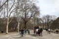 New York, USA - March 2019: Activities of the people in Central Park in NYC Royalty Free Stock Photo