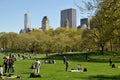 NYC: Central Park Sheep Meadow Royalty Free Stock Photo