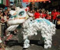 NYC: Chinatown Lion Dancer