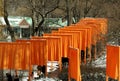 NYC: Christo's The Gates Art Installation