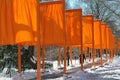 NYC: Christo's The Gates Art Installation