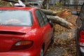 NYC Damage - Hurricane Sandy Royalty Free Stock Photo