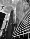 NYC Financial District seen from the ground