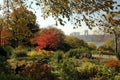 NYC: Fort Tryon Park Gardens Royalty Free Stock Photo