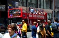 NYC: Gray Line Sightseeing Bus