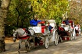 NYC: Hansom Cabs in Central Park Royalty Free Stock Photo
