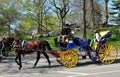 NYC: Hansom Carriage in Central Park Royalty Free Stock Photo