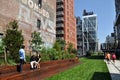 NYC: The High Line Park Royalty Free Stock Photo