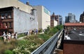 NYC: The High Line Park Royalty Free Stock Photo