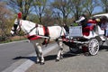 NYC: Horse Carriage in Central Park Royalty Free Stock Photo