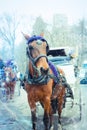 NYC Horse drawn carriage snowy day