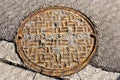 NYC Manhole Cover Royalty Free Stock Photo