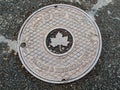 NYC manhole lid Royalty Free Stock Photo