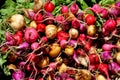 NYC: Multi-coloured Radishes Royalty Free Stock Photo