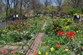 NYC: The People's Garden in Riverside Park