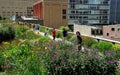 NYC: People Strolling in the High Line Park Royalty Free Stock Photo