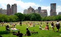 NYC: The Sheep Meadow in Central Park Royalty Free Stock Photo