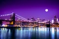 NYC Skyline and Brooklyn Bridge