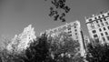 NYC 5th Avenue Apartments with trees B&W Royalty Free Stock Photo