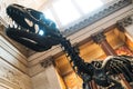 NYC/USA 02 JAN 2018 - dinosaur skeleton, raptor.