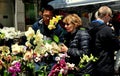 NYC: Woman Buying Orchid Plant