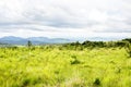 Nyika Plateau in Malawi Royalty Free Stock Photo