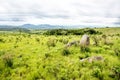Nyika Plateau in Malawi Royalty Free Stock Photo