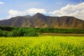 Nyingchi to Lhasa Royalty Free Stock Photo