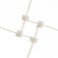 Nylon cable ties isolated