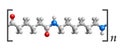 Nylon 3D molecular structure, repeating of amide