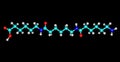 Nylon molecular structure isolated on black background