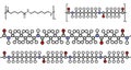 Nylon nylon-6,6 plastic polymer, chemical structure. Multiple representations.