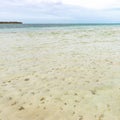 Nylon Pool in Tobago tourist attraction shallow depth of clear sea water covering coral and white sand panoramic view square Royalty Free Stock Photo