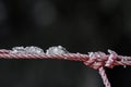 Nylon rope knot in outdoor winter condition Royalty Free Stock Photo