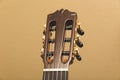 A nylon string guitar's headstock