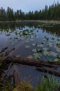 Nymph Lake Royalty Free Stock Photo