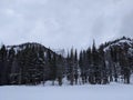 Nymph Lake winter Rocky Mountain National Park Royalty Free Stock Photo