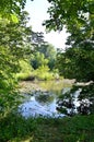 Nymphaea water lily  pond landscape scenery soft ripple water reflections masthead footer text area vertical Royalty Free Stock Photo